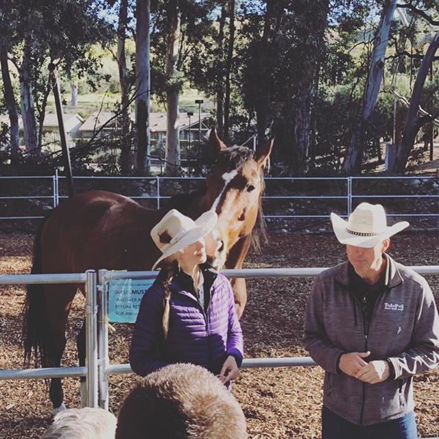 One of the biggest gifts I&rsquo;ve received through my work as an equine therapist is collaborating with other men &amp; women that are committed to a life of service and healing for those struggling with PTS (post-traumatic stress). The man standin