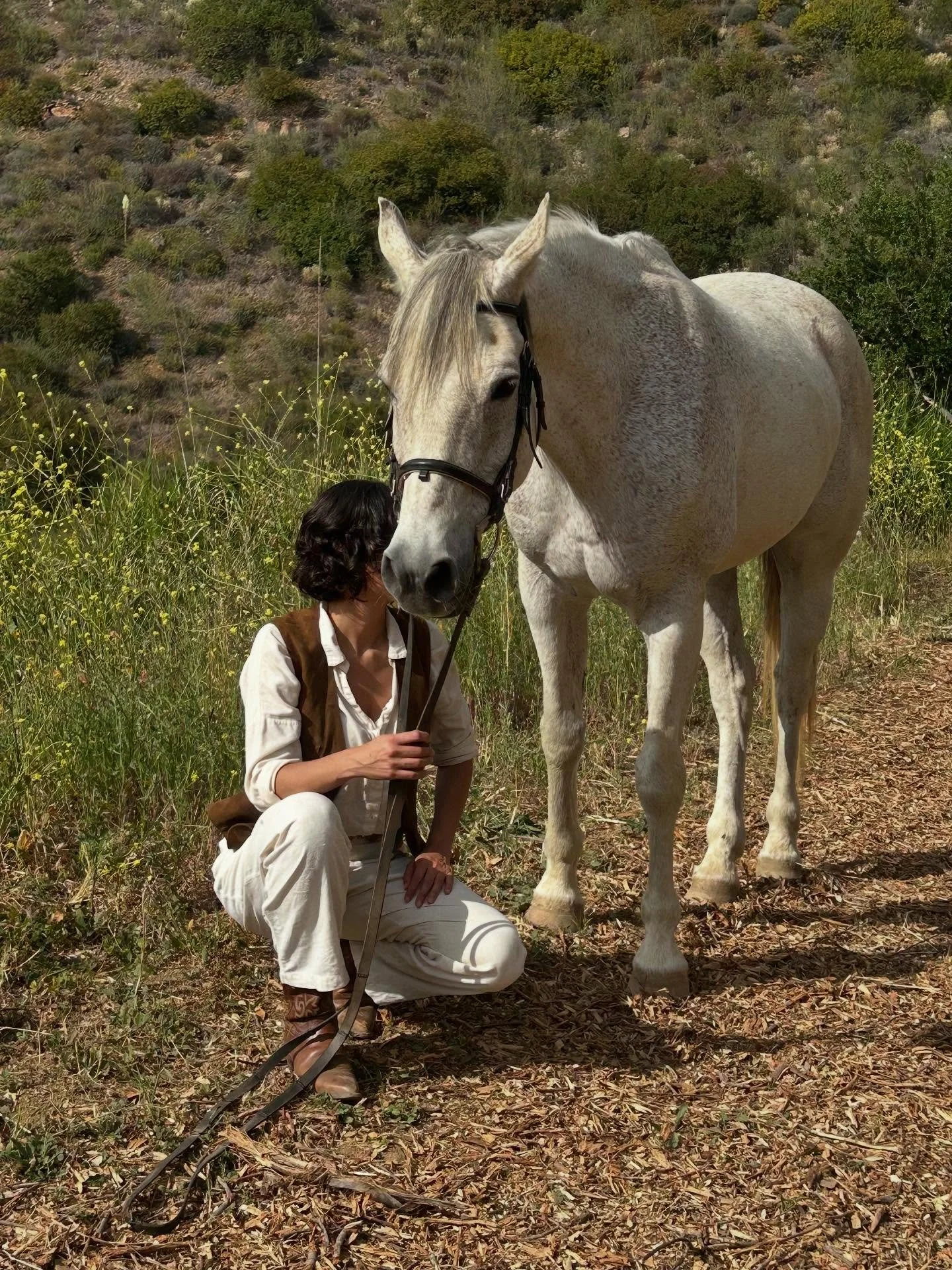 Lindsay learned quickly that horses don&rsquo;t always speak loudly. Their language is quiet, soft nudges, subtle ear movements, gentle blinks, but deeply insightful. 

These small signals became profound guides for Lindsay, teaching her to tune into