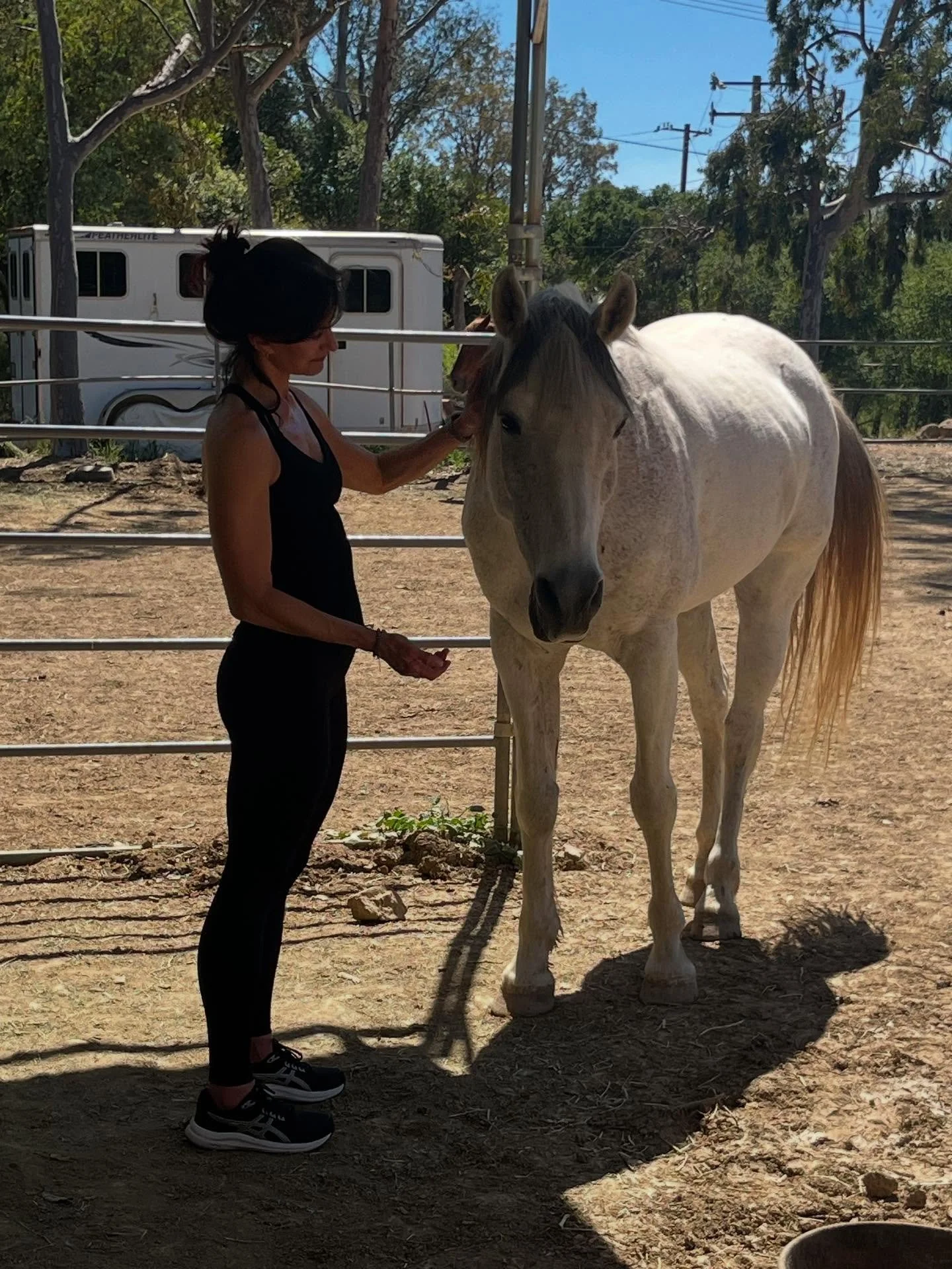 Emma&rsquo;s equine therapy session began as she stood quietly among the herd. 

With eyes gently closed and sun on her face, Emma experienced something profound: the horses revealed truths from her subconscious. 

As she came into a co-regulation wi