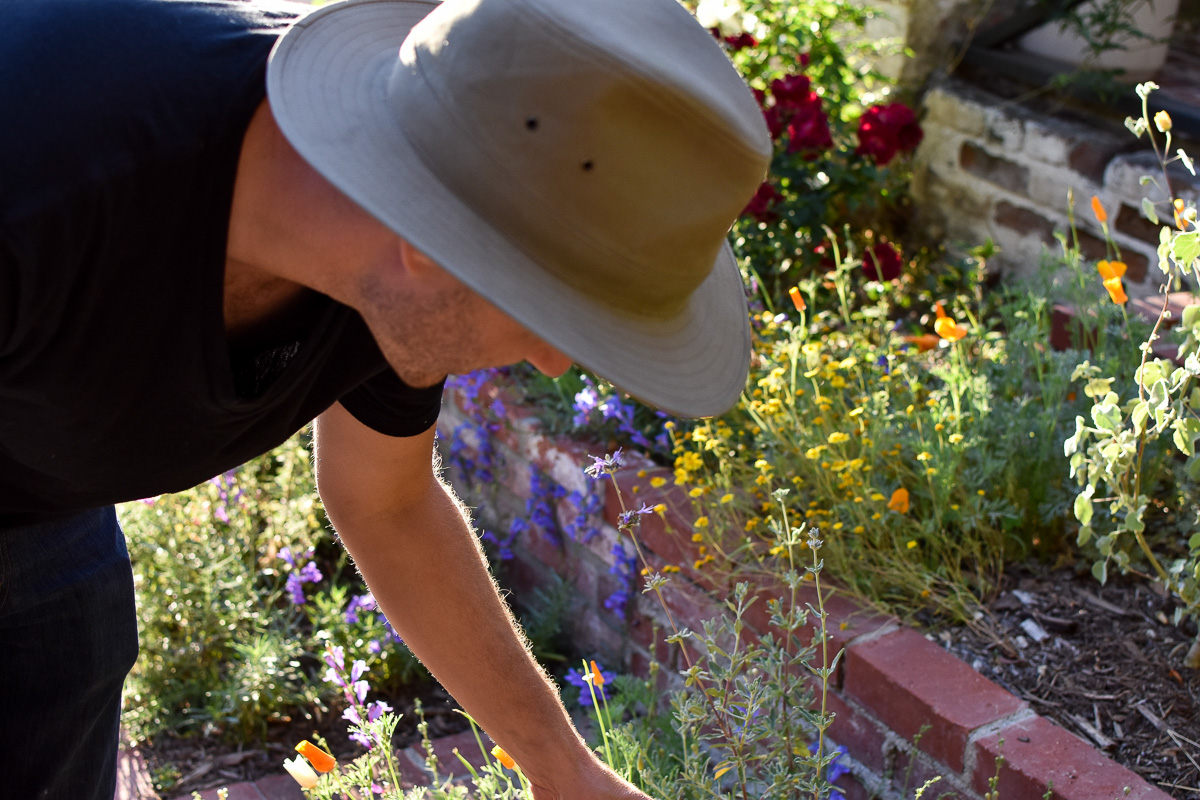 Charlie's Garden-72.jpg