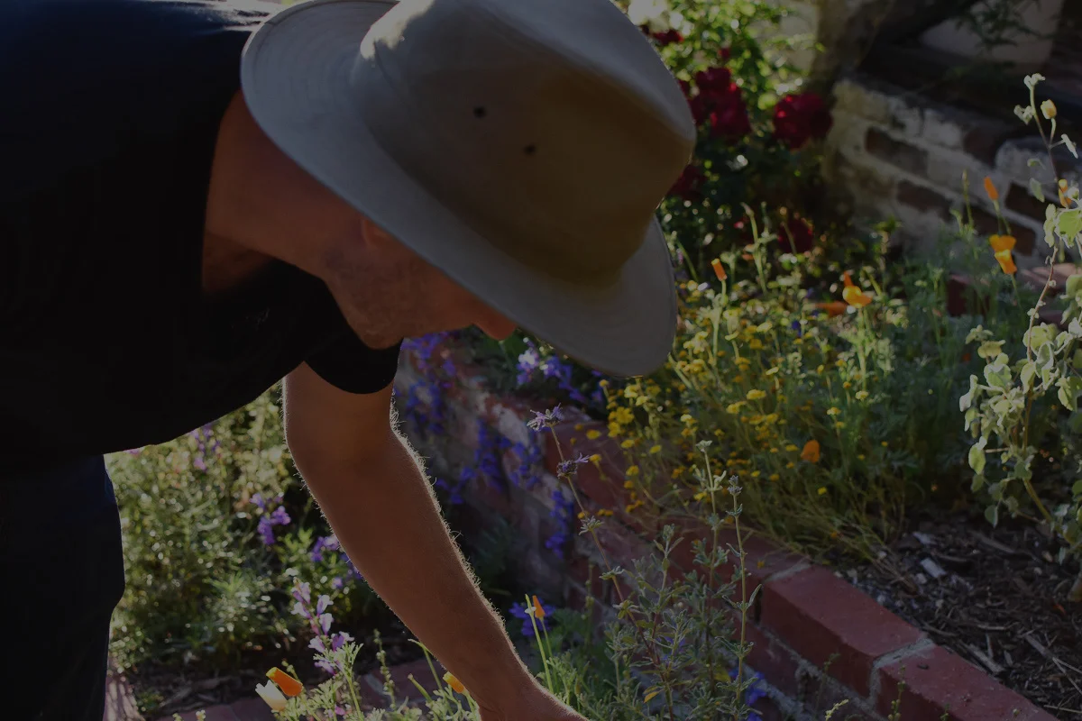 Charlie's Garden-72.jpg