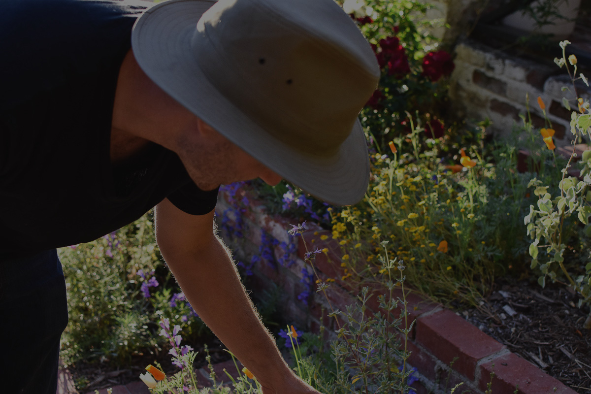 Charlie's Garden-72.jpg