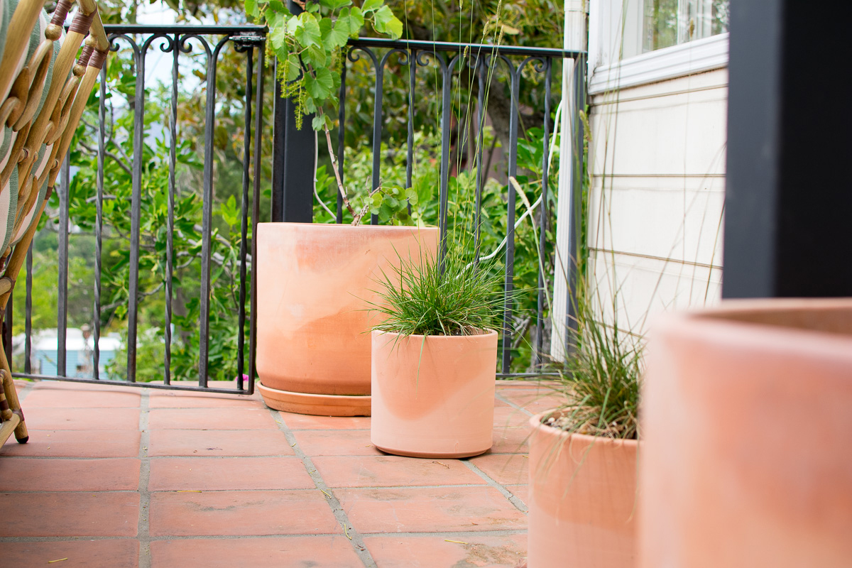 Potted Natives-23.jpg