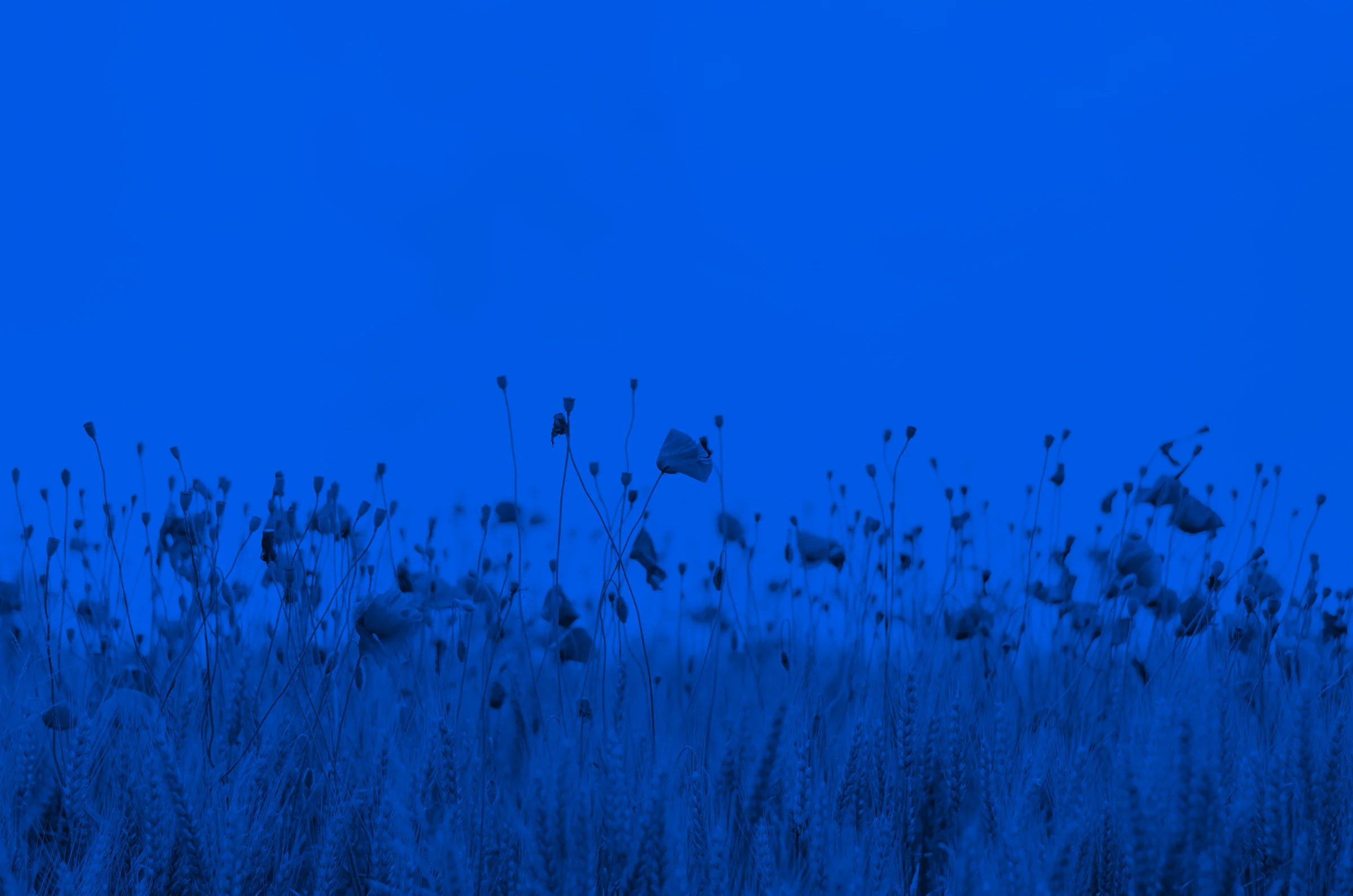 henry-be-99471-blue.jpg