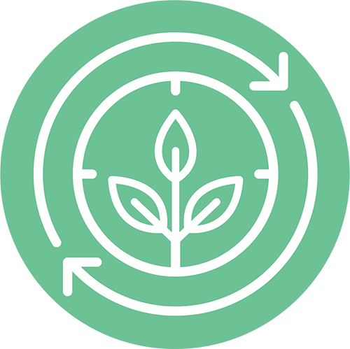 Receive our expert recommendations for revitalizing your land