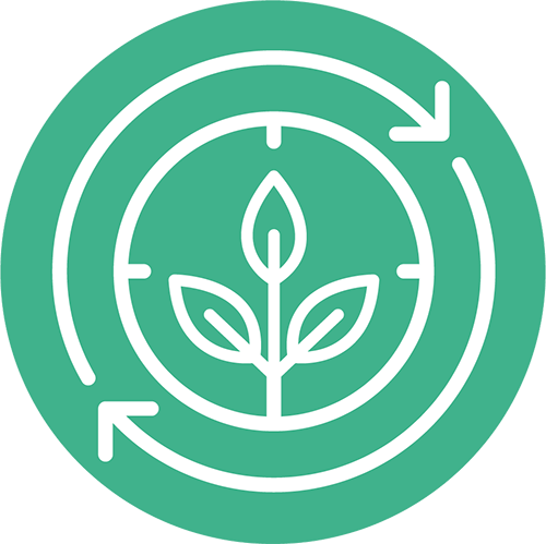 Discover solutions that will cool down your backyard and lower your water dependence