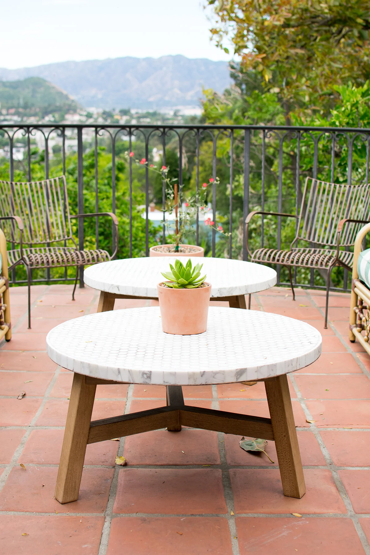 Potted Natives-32.jpg