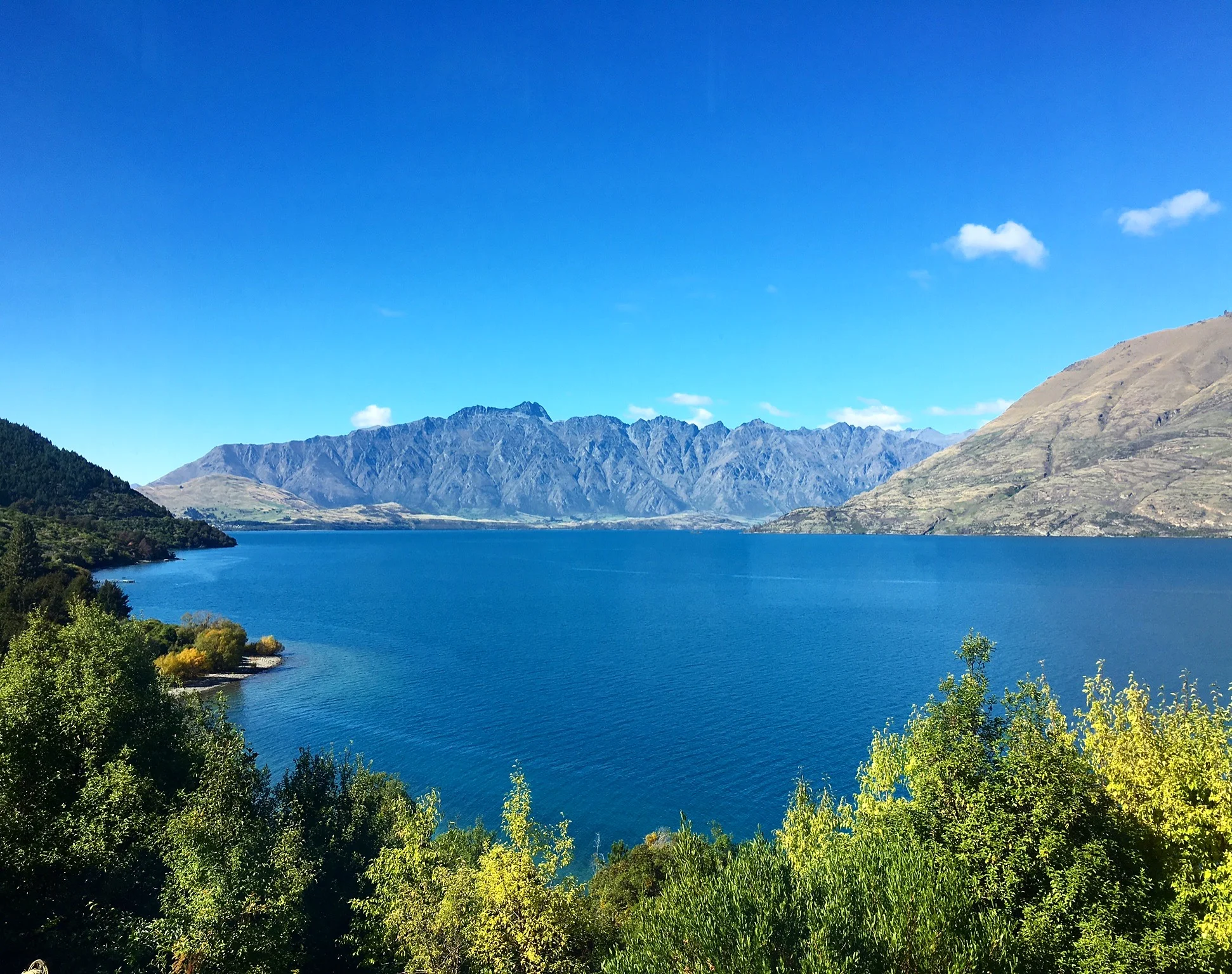 NZ