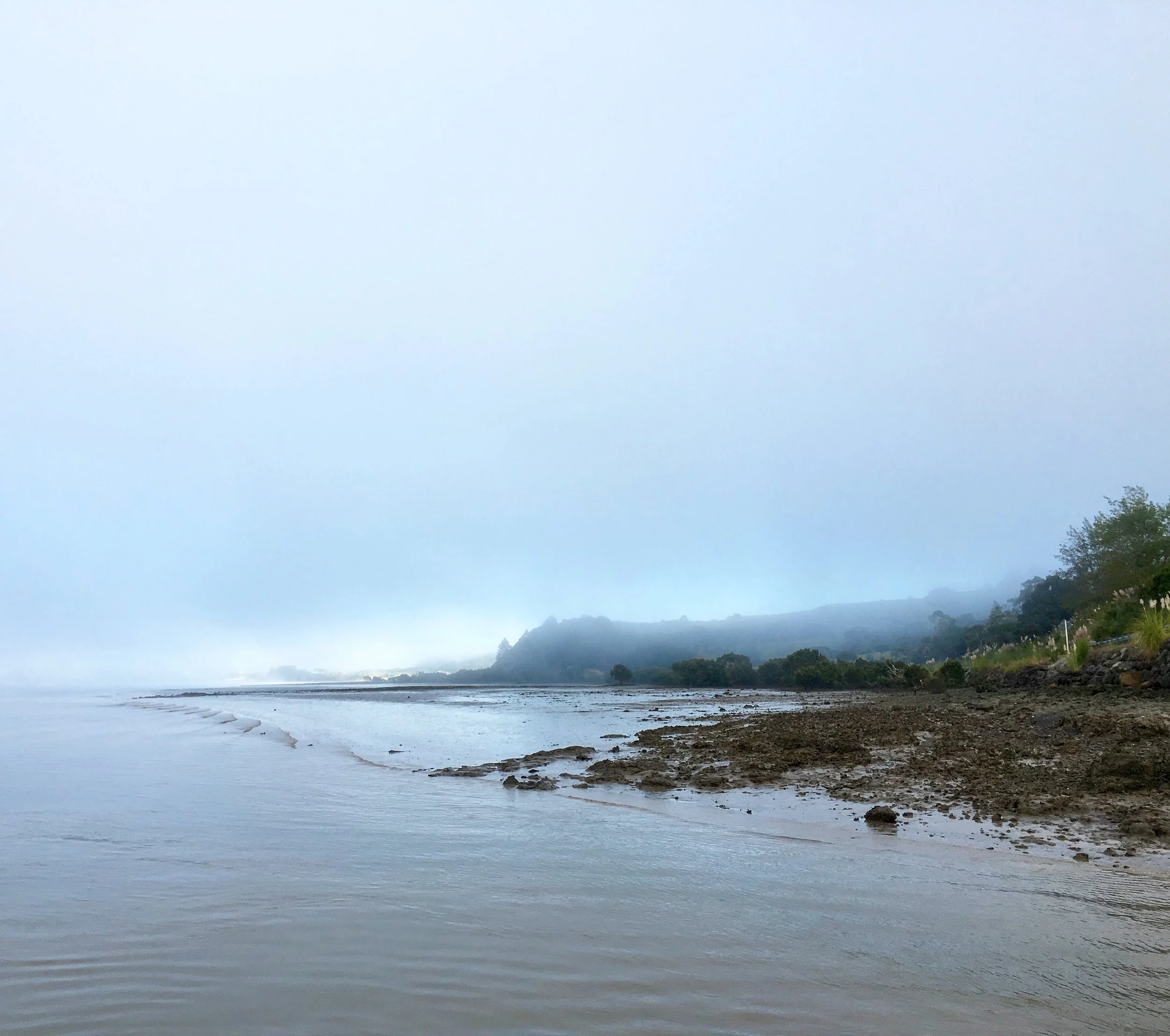 NZ_Mist.jpg
