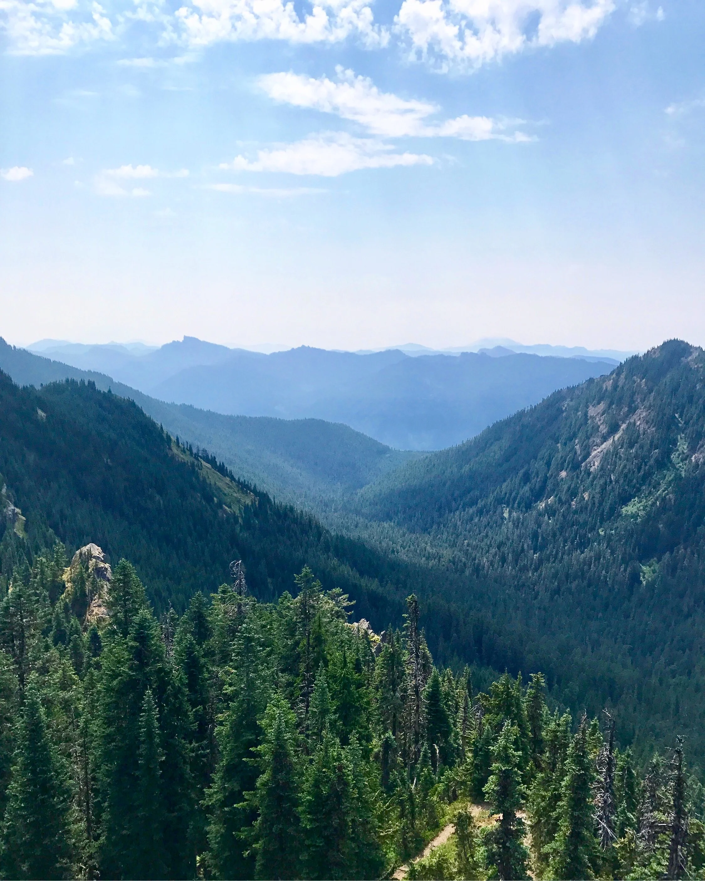 mount rainer.jpg