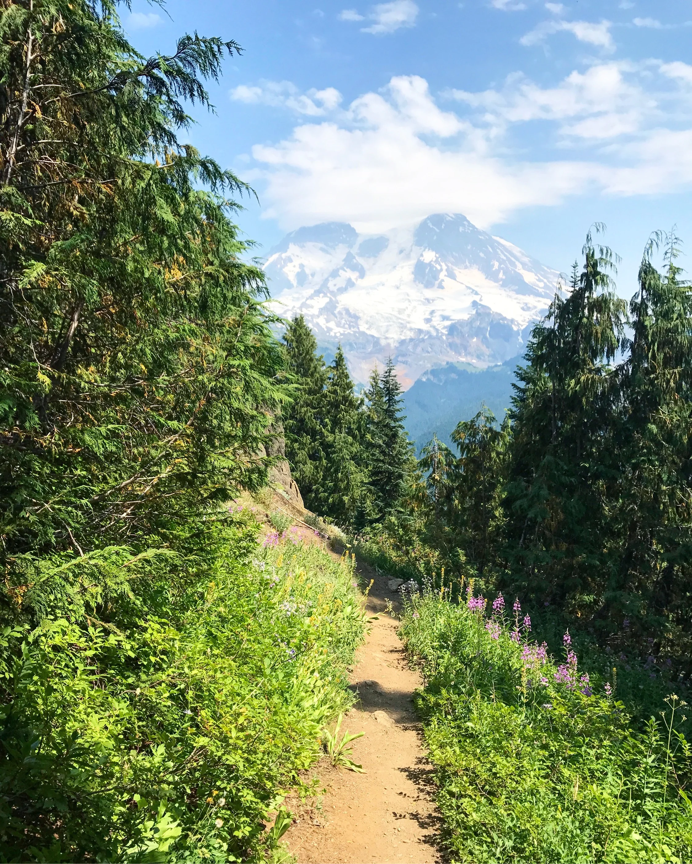 Washington State.jpg