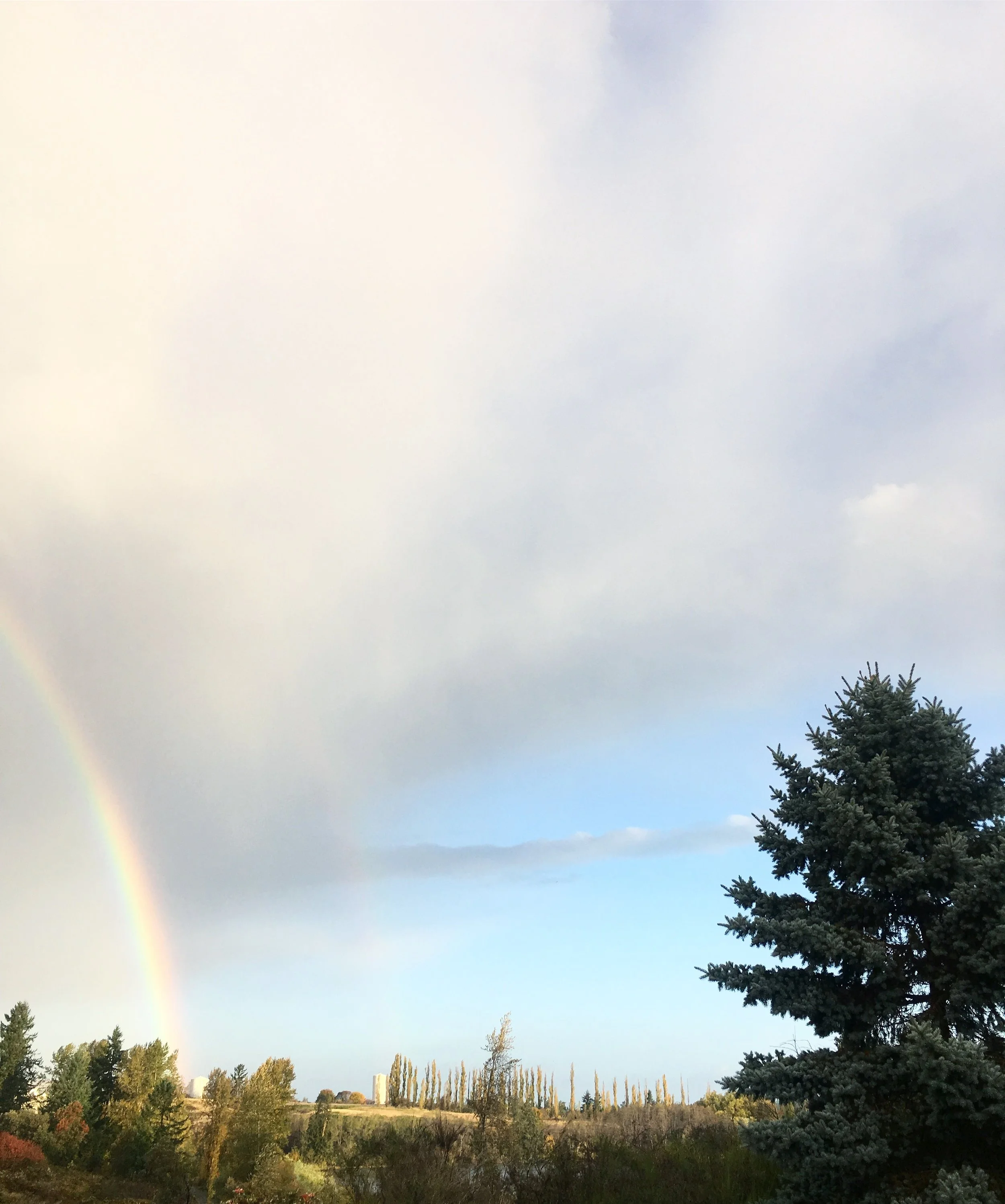 rainbow.jpg