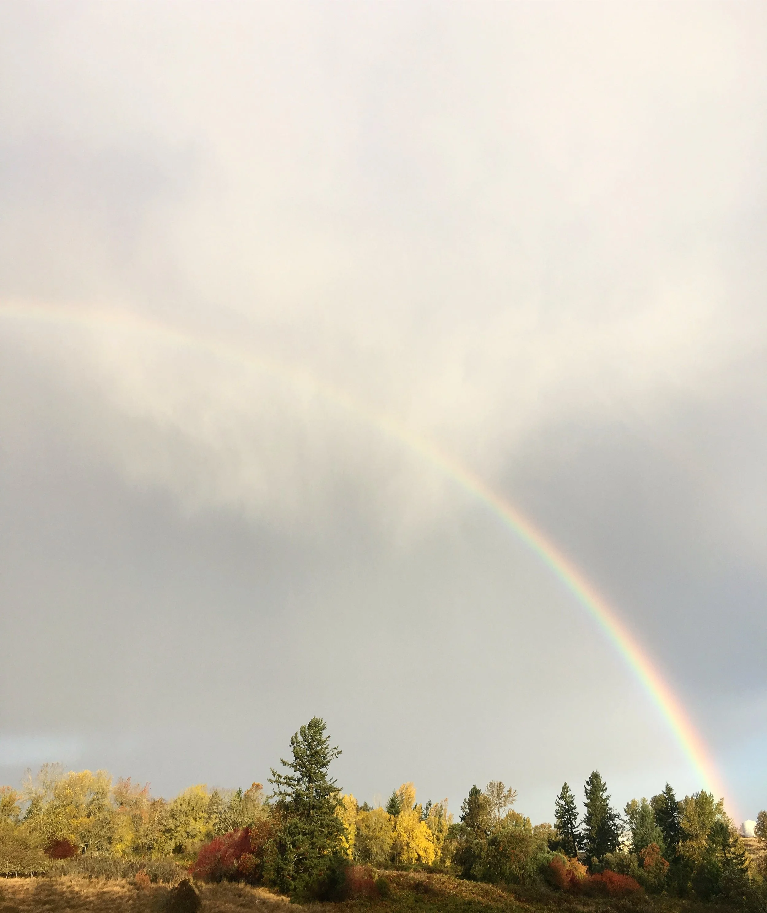 Rainbow 2.jpg
