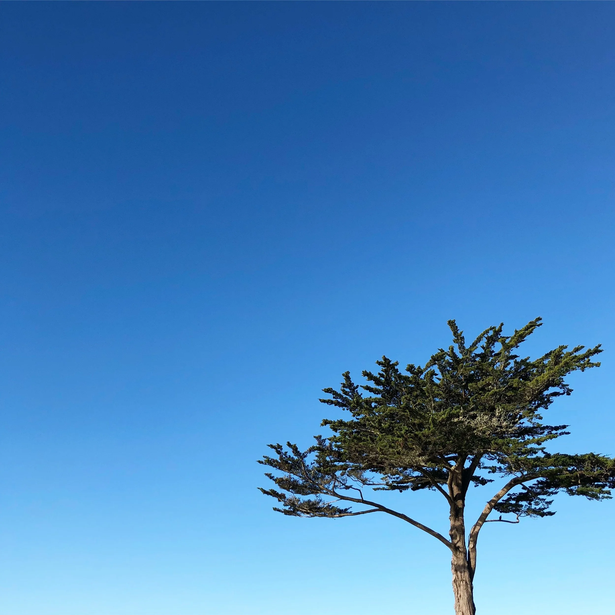 santacruz.jpg