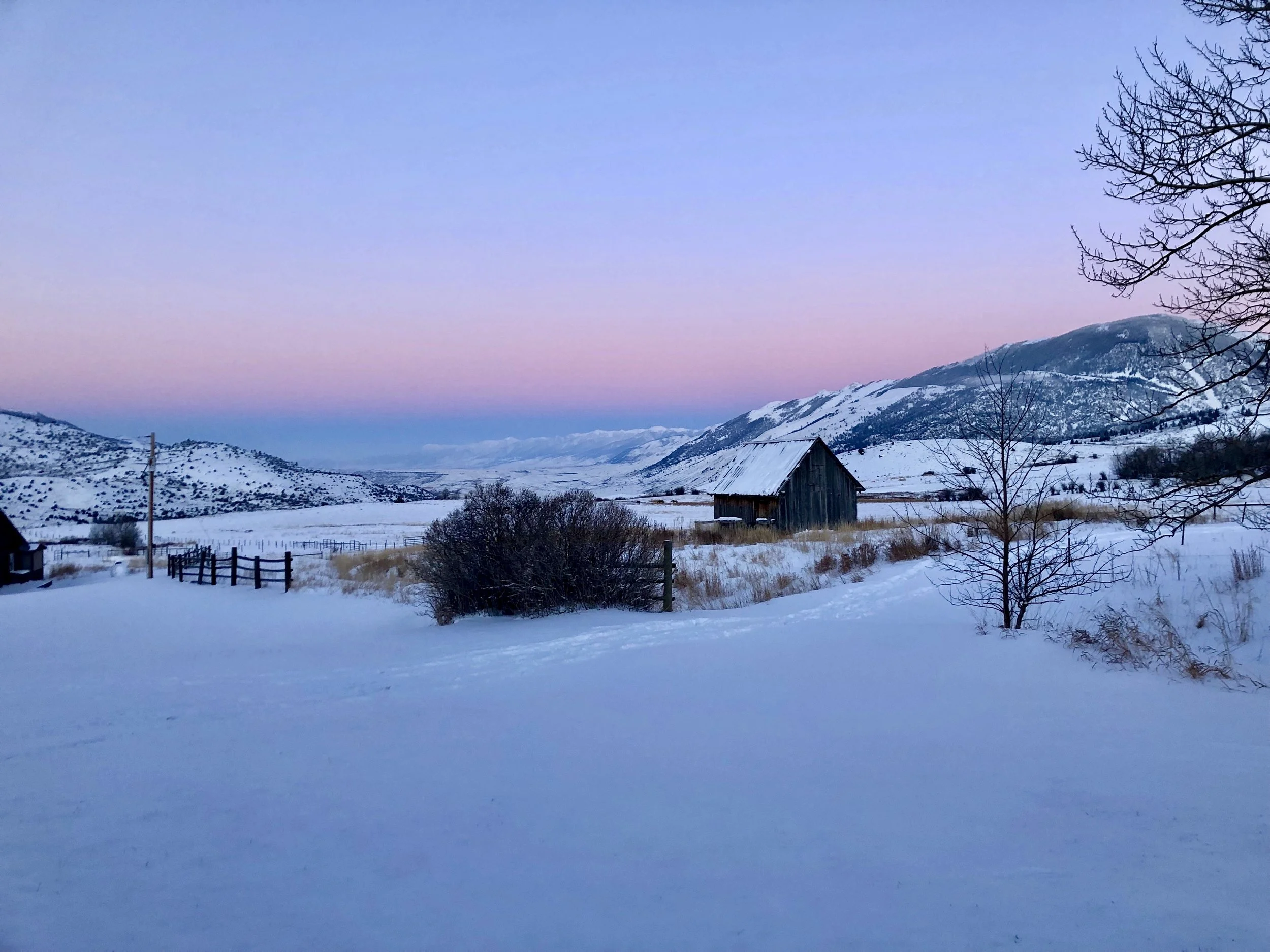 Montana.jpeg