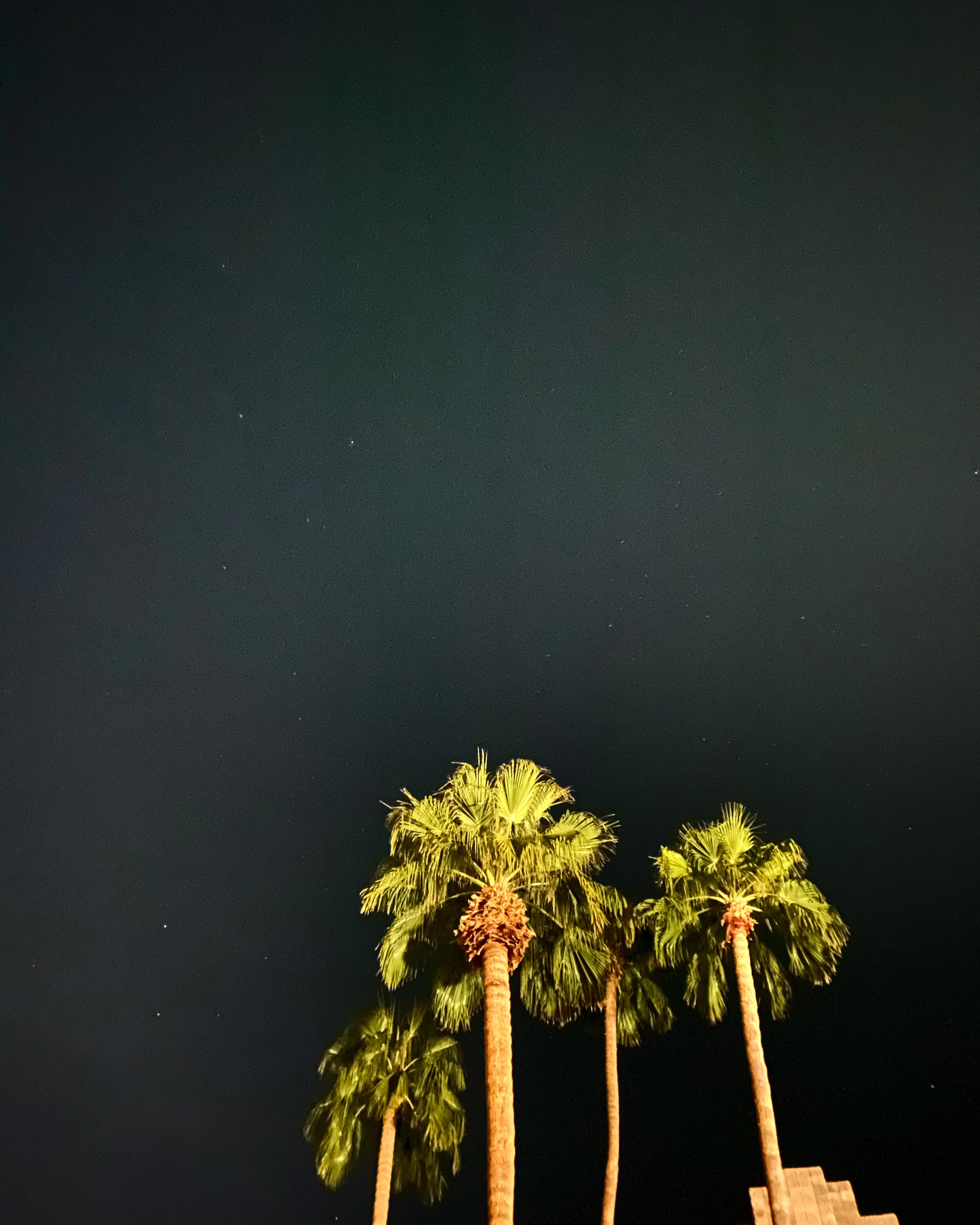THE MARVELS OF CREATION ///