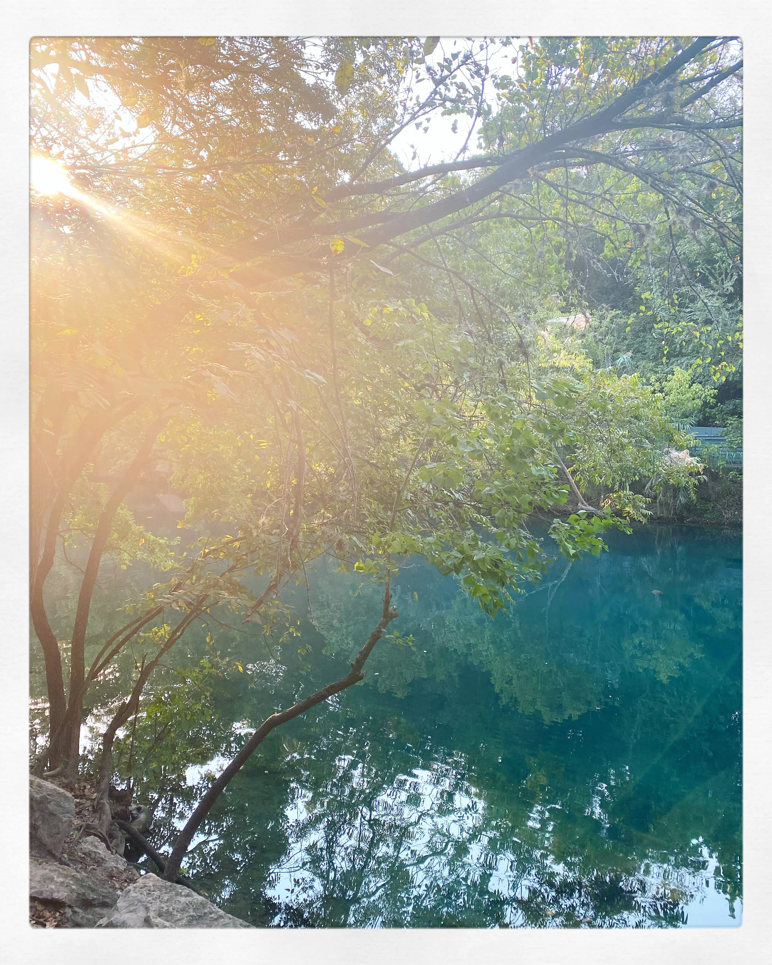 LIGHT THINS INTO NOTHING ///