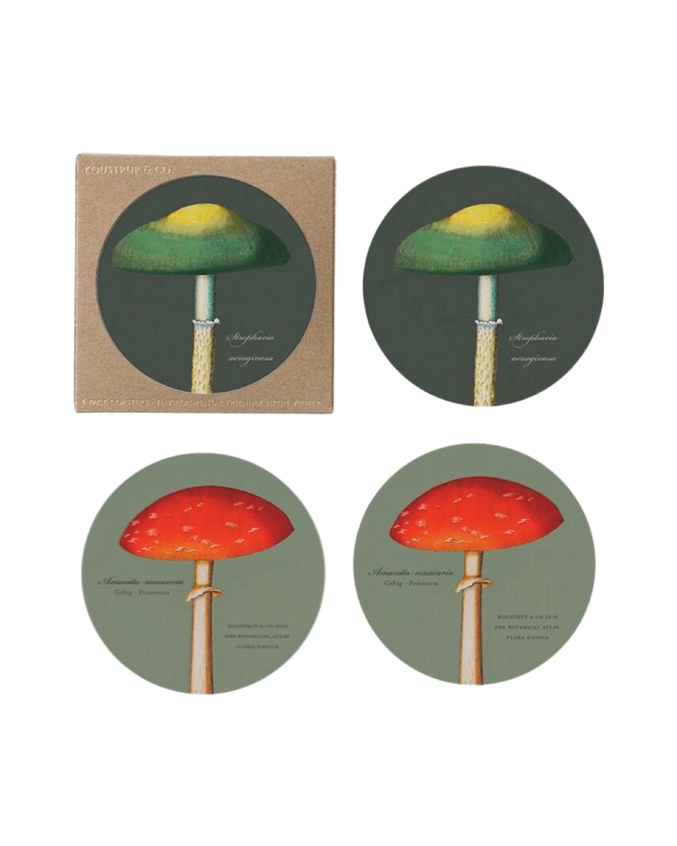 better coaster pic.jpeg