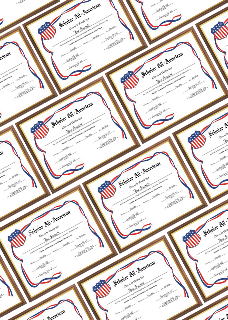 Spring Scholar All-America Teams Selected