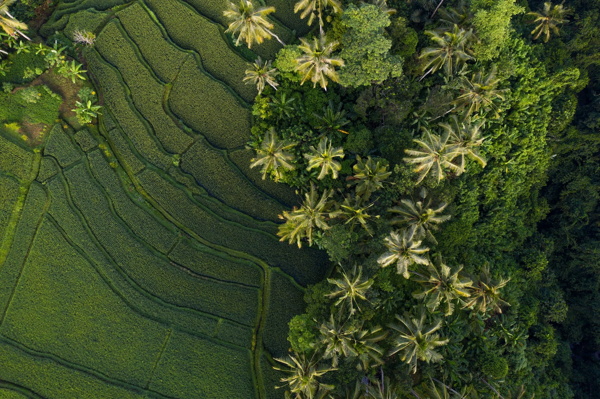unsplash-image-SsqqO1COB18.jpg