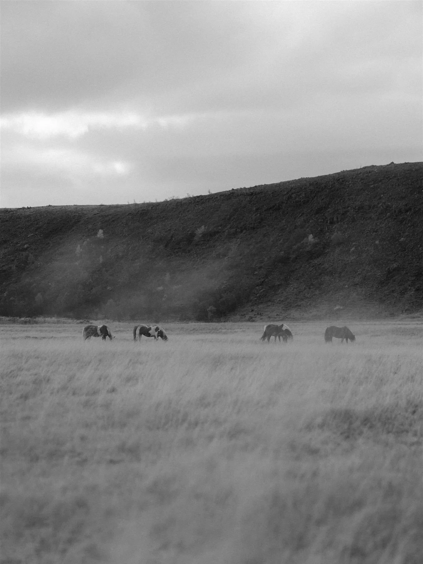 An intimate elopement in Iceland -  Portia &amp; David invited their nearest and dearest to the wilds of Iceland for their wedding day. A place full of meaning for them, they returned to where they got engaged, this time with their beautiful daughter