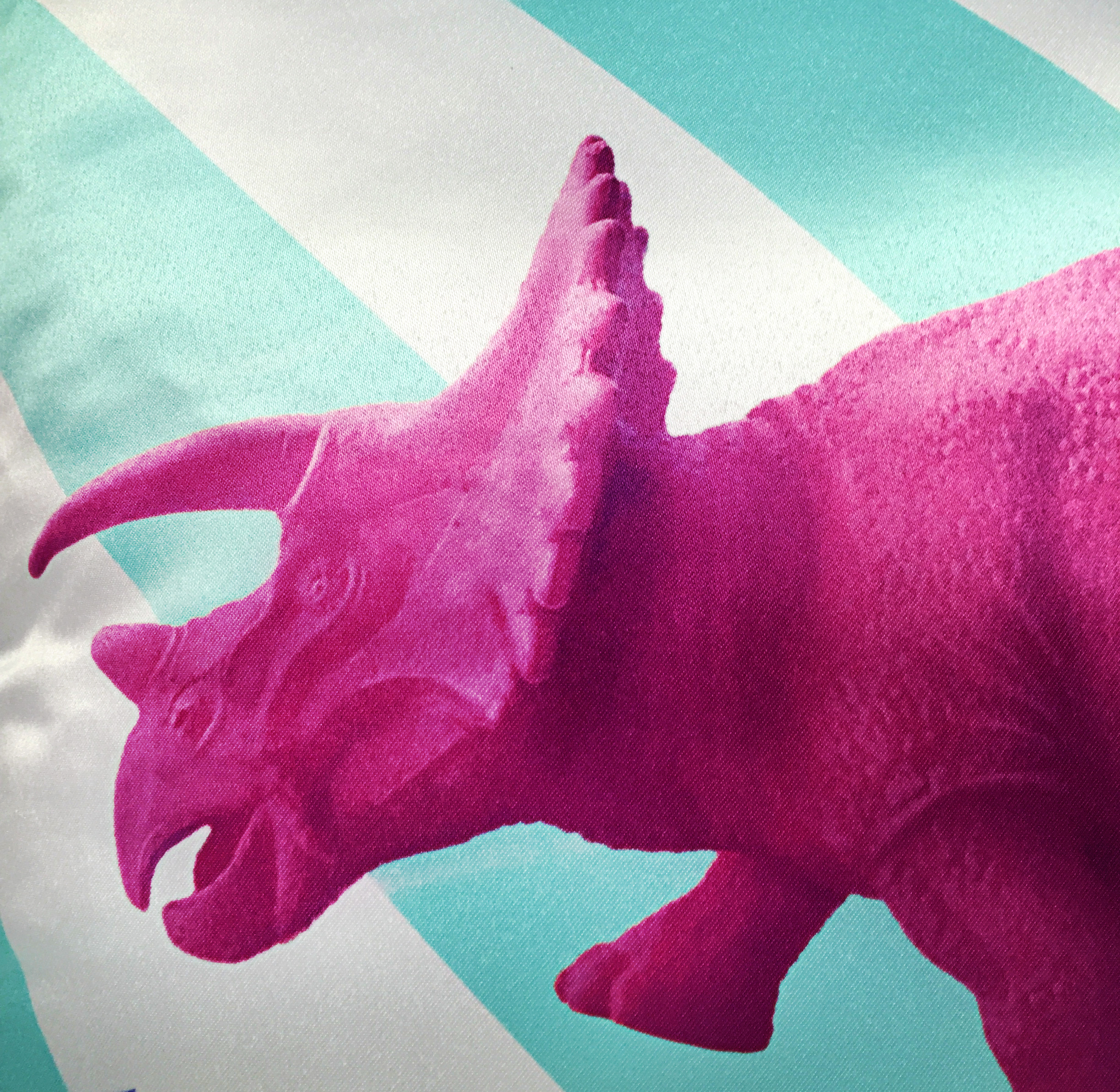 DINOS-BACK-DETAIL.jpg