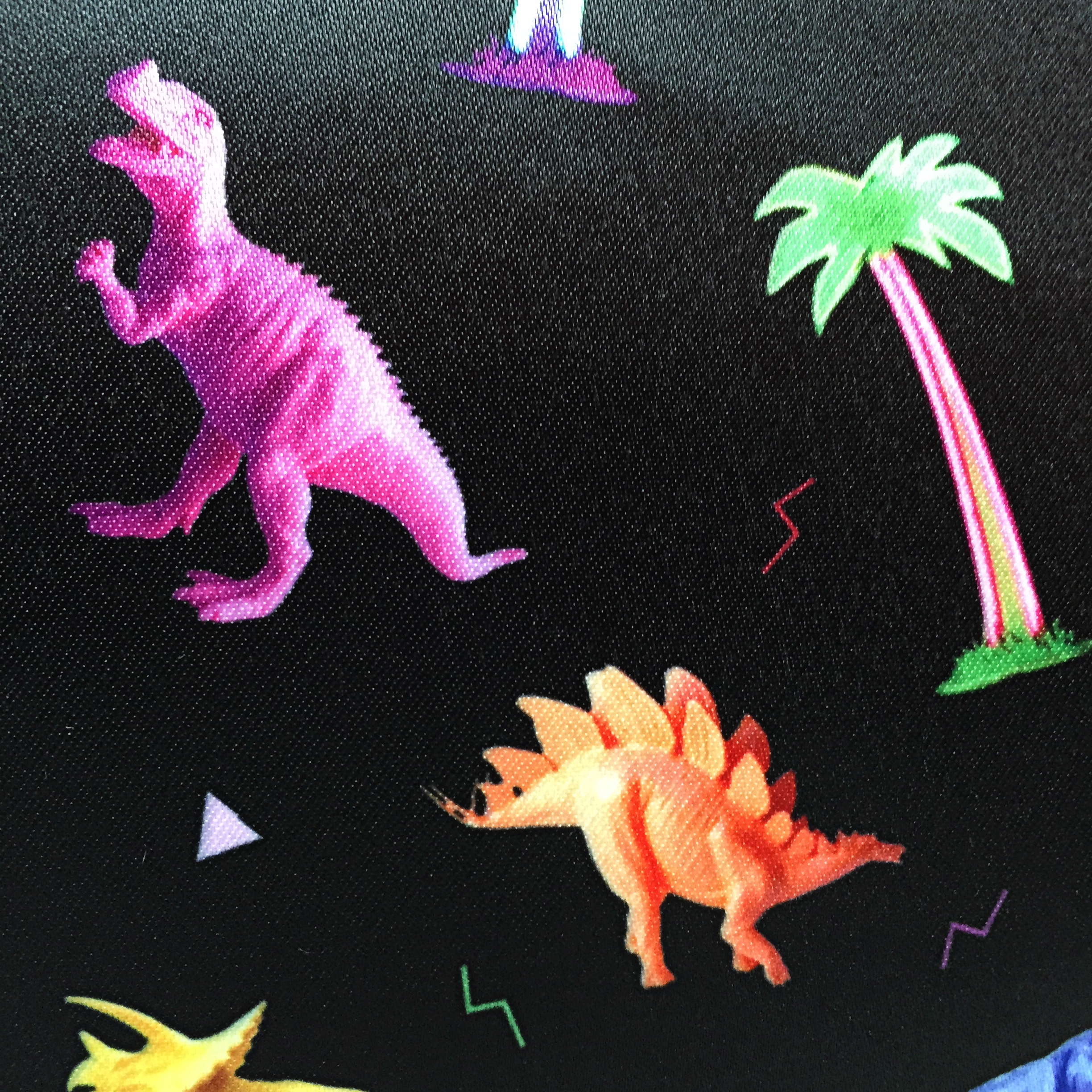 DINOS-FRONT-DETIAL.jpg