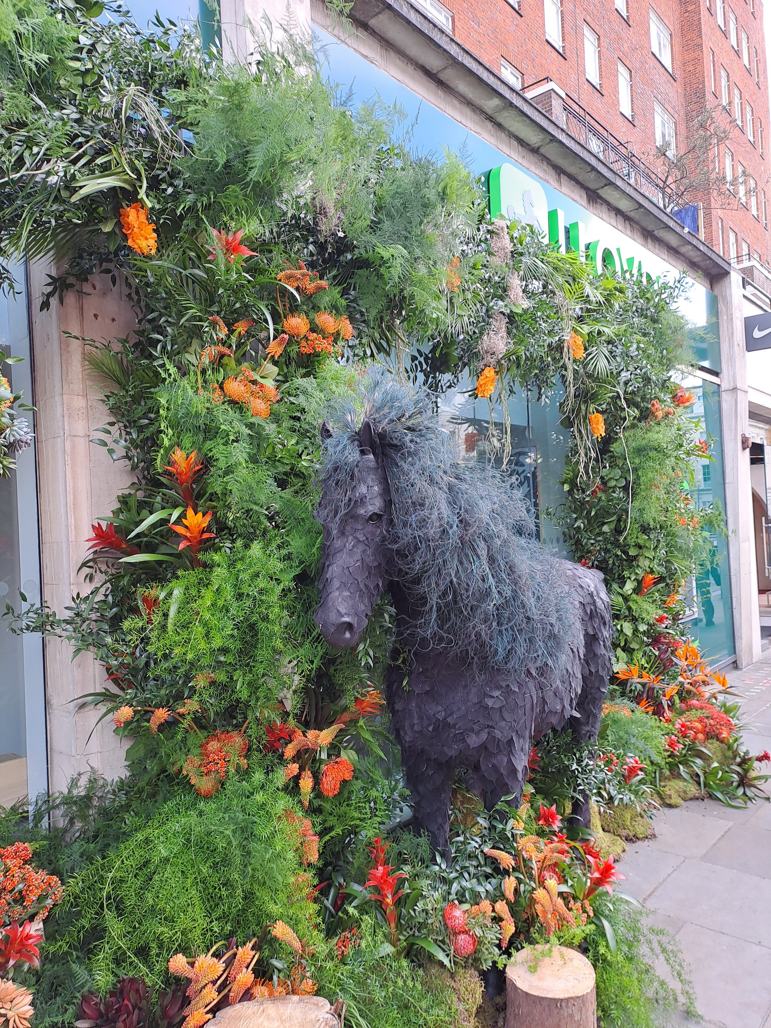 Lloyds Bank Chelsea Flower Show 2026