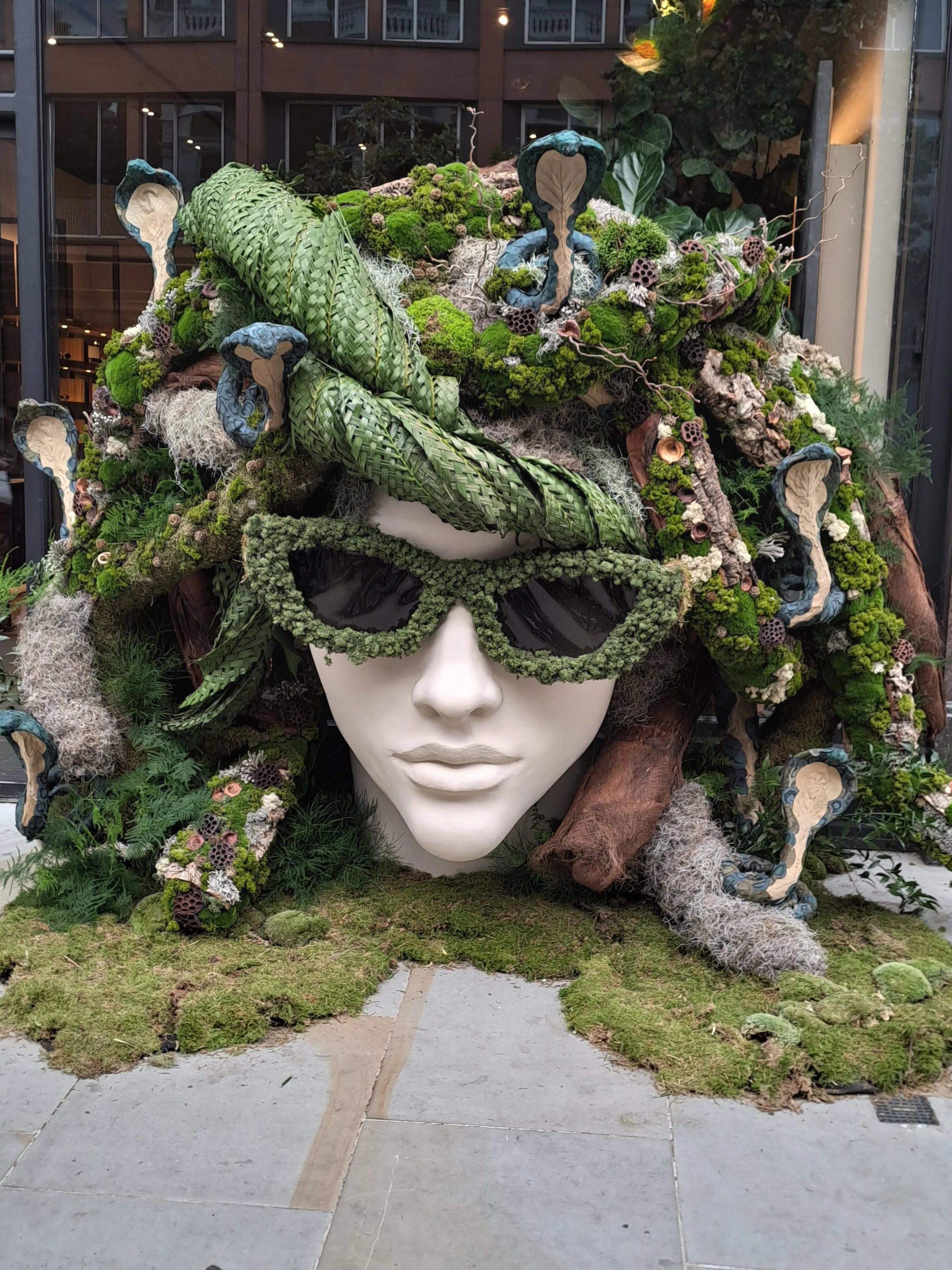 Out of this World Alien RHS display