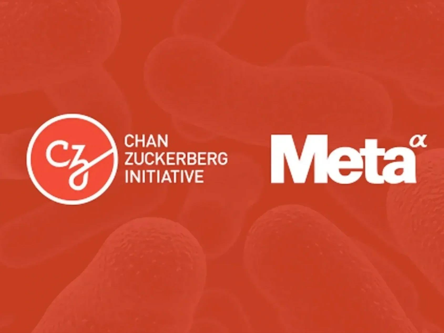 Meta AI Strategic Partnerships