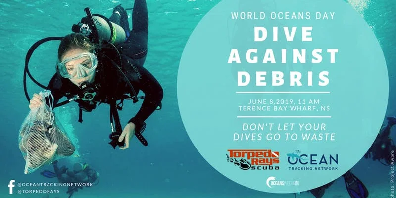 World Oceans Day Dive Against Debris HFX