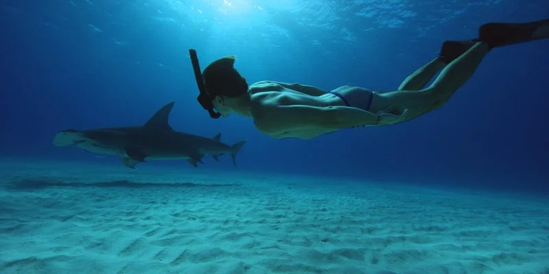 “I can’t help but wish that there aren’t more Robs in the world.”