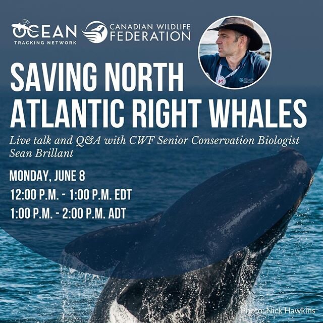 &quot;The Ocean Tracking Network &amp; Canadian Wildlife Federation present: saving North Atlantic right whales - a talk and Q&amp;A with senior conservation biologist Sean Brillant. 
Join the Ocean Tracking Network (OTN) and the Canadian Wildlife Fe
