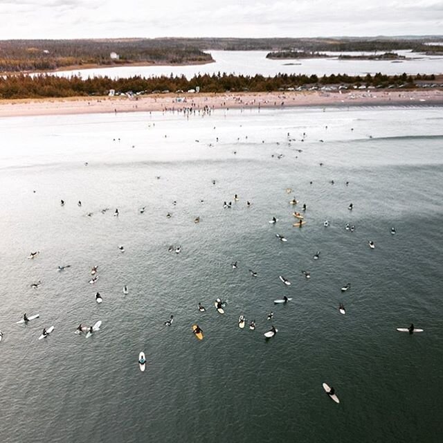 @northprestonsurf @durrellborden @lrkinnects 
@surfnovascotia - What an incredible turn out for the paddle-out in solidarity. The community showed up! We hope that the surf community in Nova Scotia will remember this event for decades and centuries t