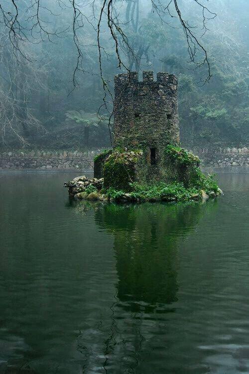 tumblr_nuq302U6PB1tql3eyo4_500.jpg