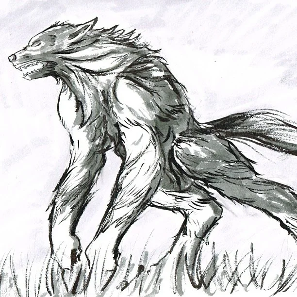 #beast #brayroad #urban #myth #ink #brush #monster #wolf #art #sketchbomb #drawing #sketchbook