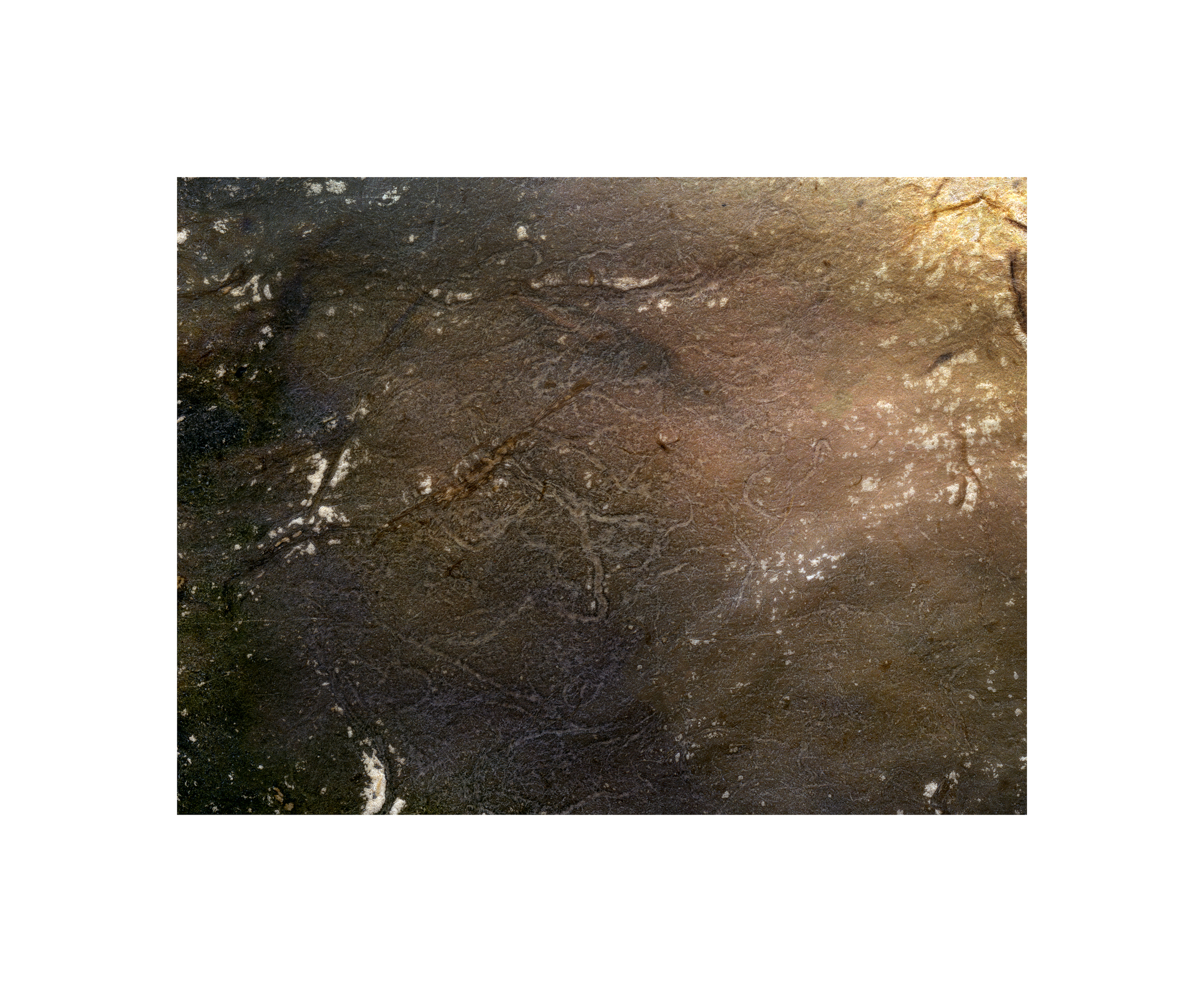Untitled Submerge 7