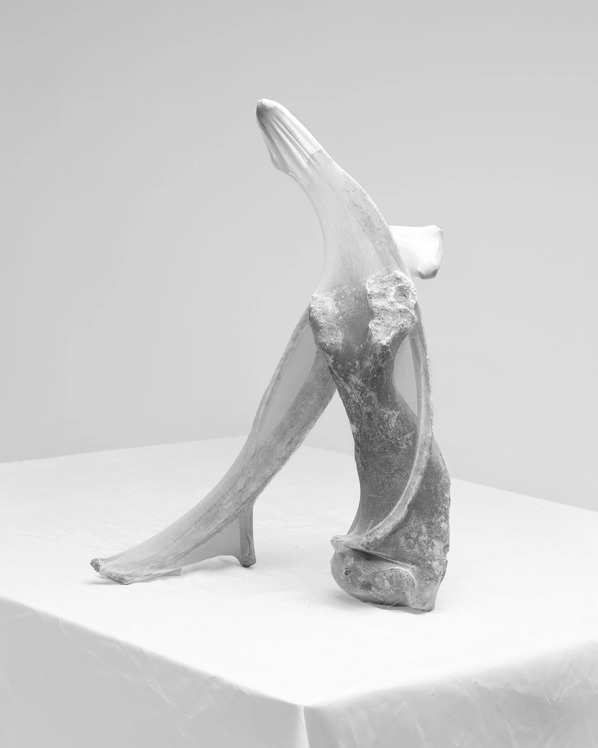bones_022022_0059c.jpg