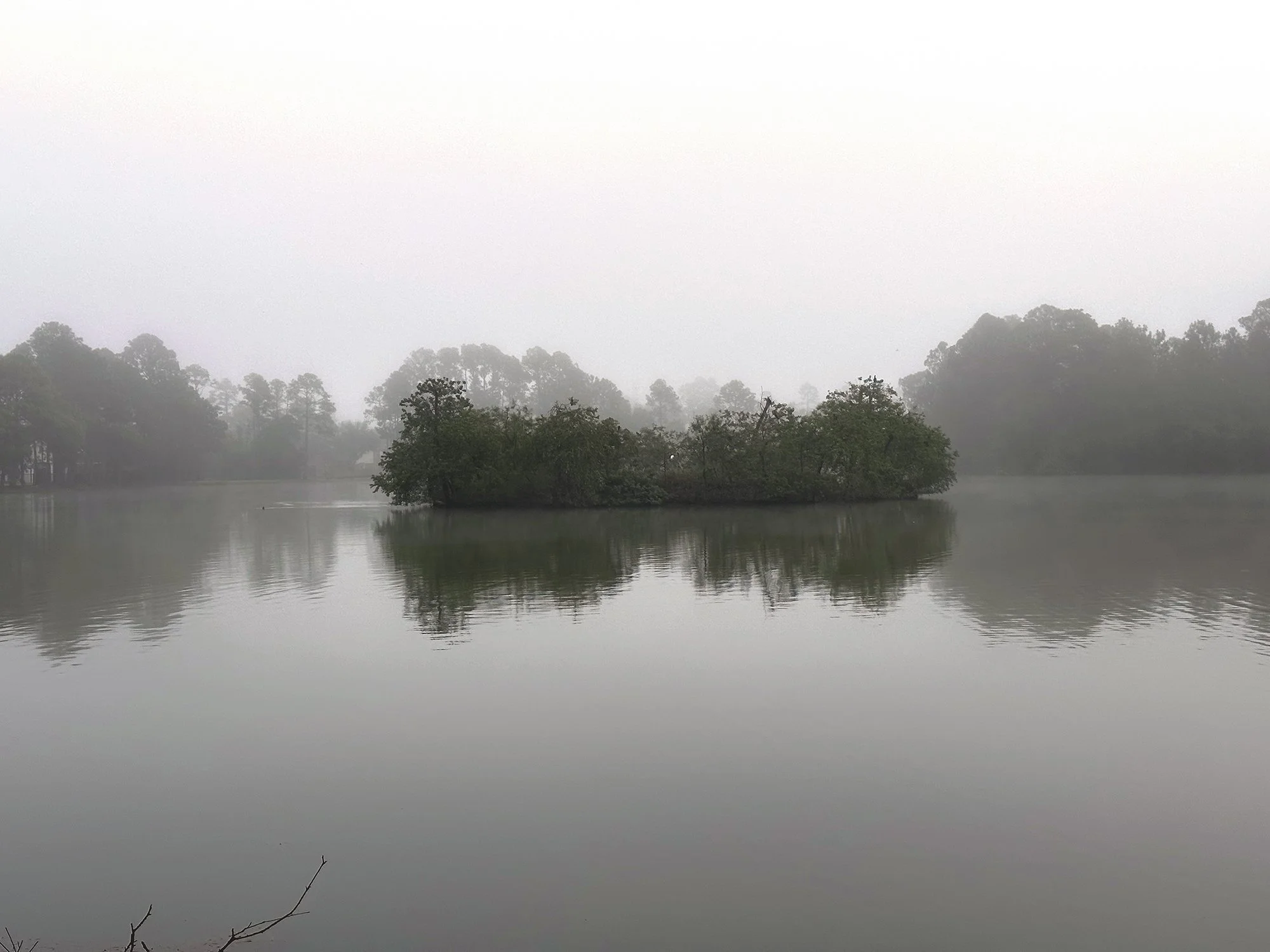 foggynovemberday.jpg