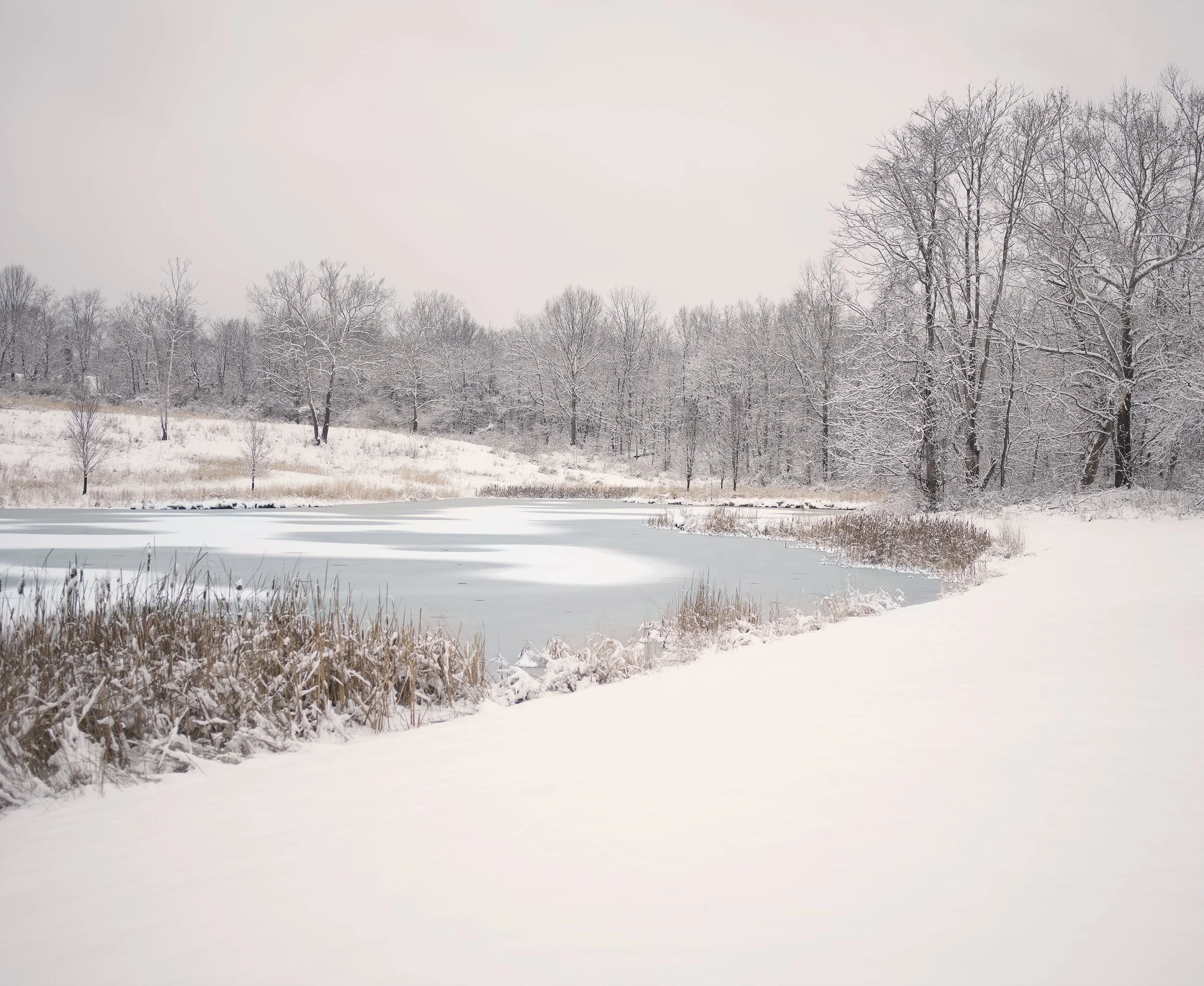 eneve_011219-51snownlandscapewhighpasssharpening_small.jpg