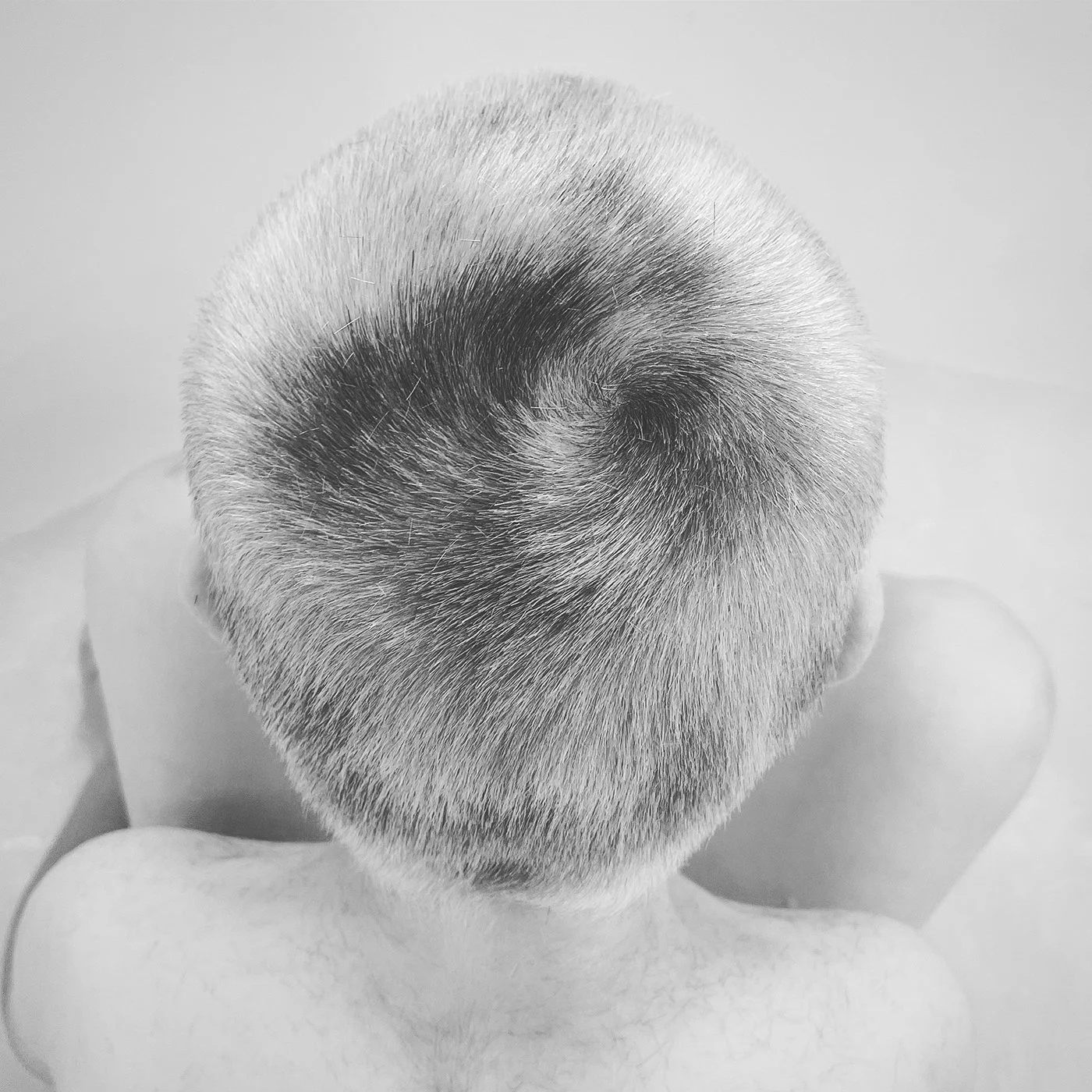 CarlBuzzedHair1.jpg