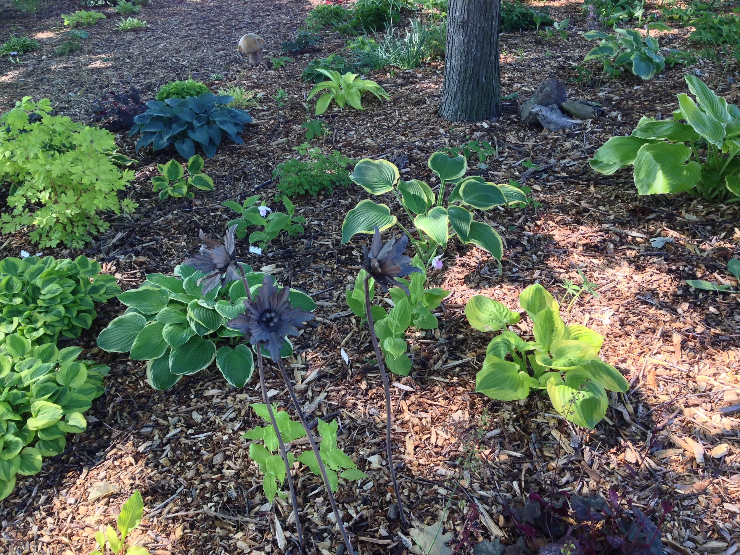 2015-06-22 09.42.38.jpg