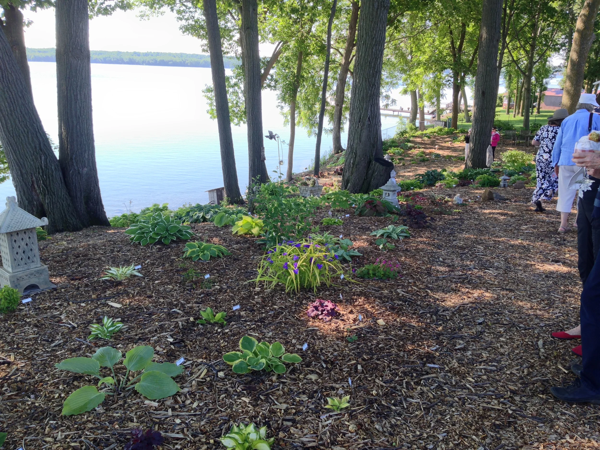 2015-06-22 09.31.21.jpg