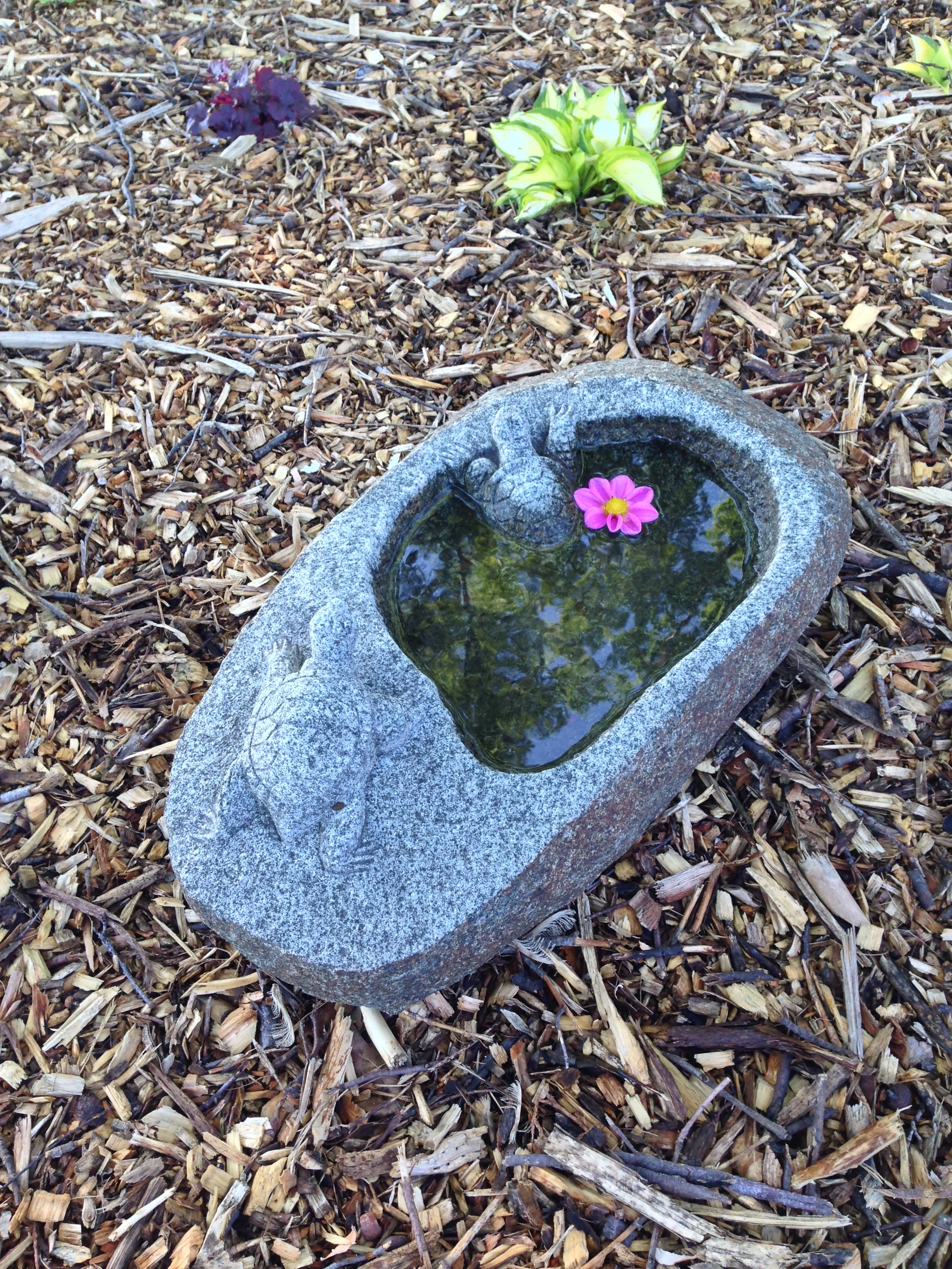 2015-06-22 09.31.03.jpg