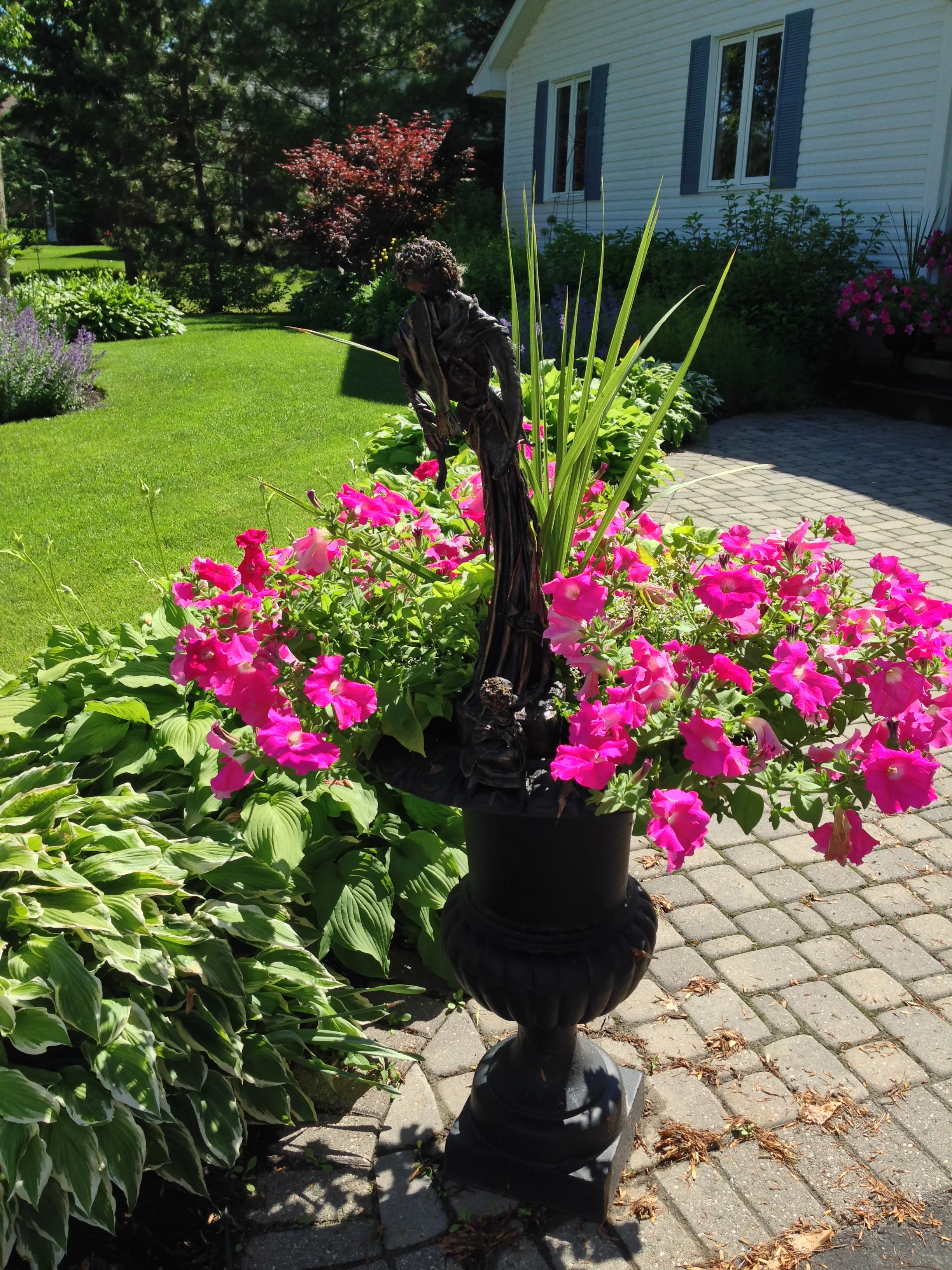 2015-06-22 10.23.14.jpg