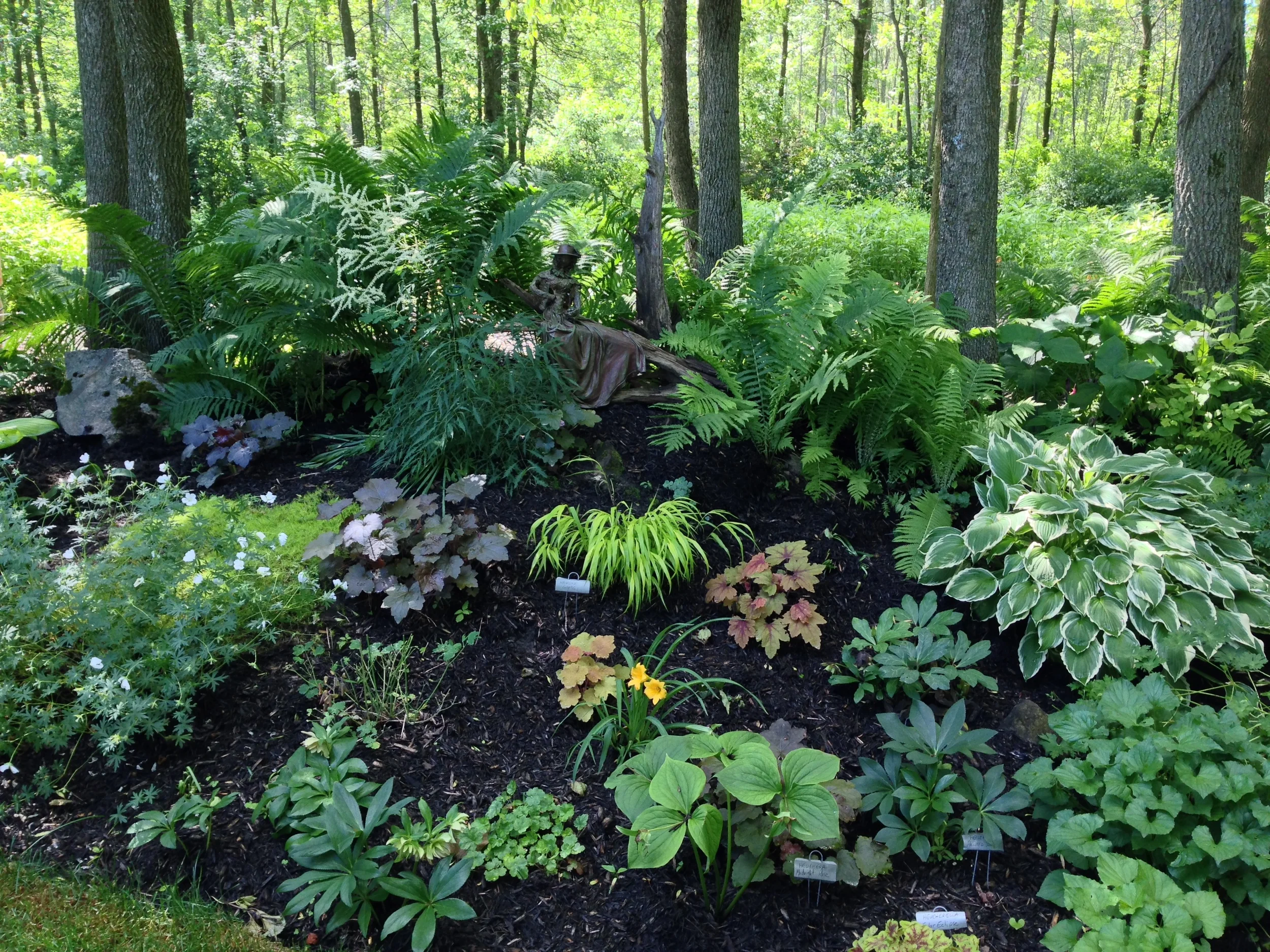 2015-06-22 10.35.10.jpg