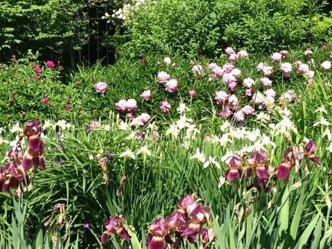 Image 27.jpg