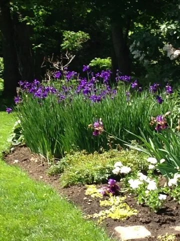 Image 24.jpg