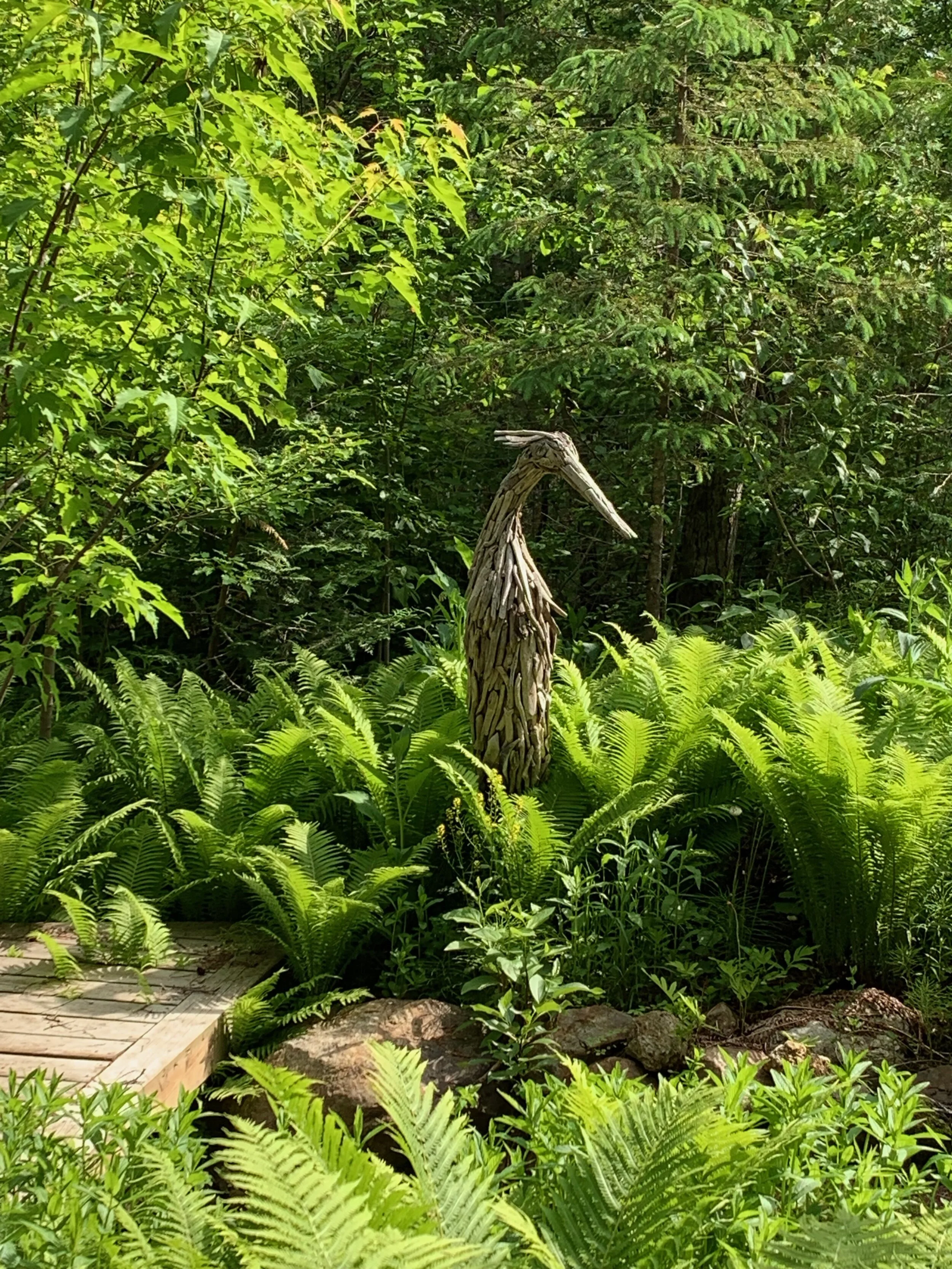 IMG_0263.jpeg