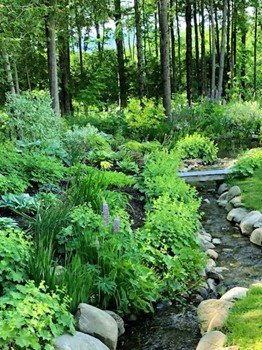 A Home Garden by Jill Cobbett